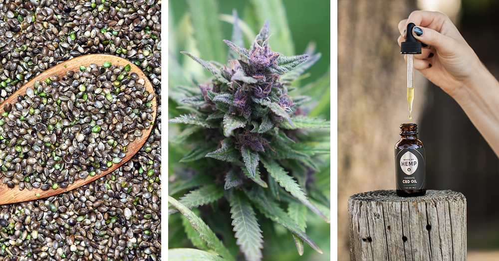cannabis in various forms