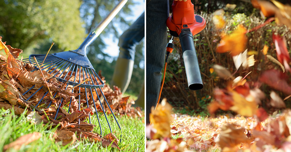 raking leaves leaf blower fall lawn care powell river