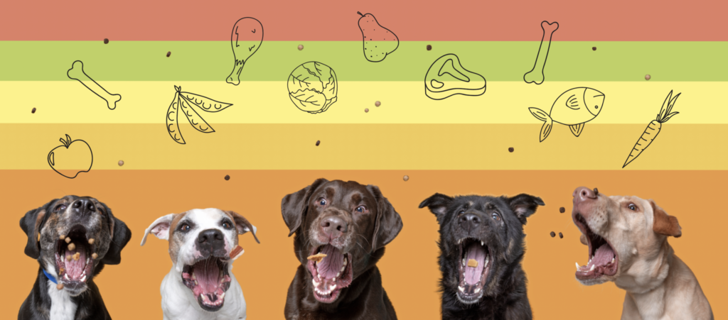 healthy kibble additions dog mother nature