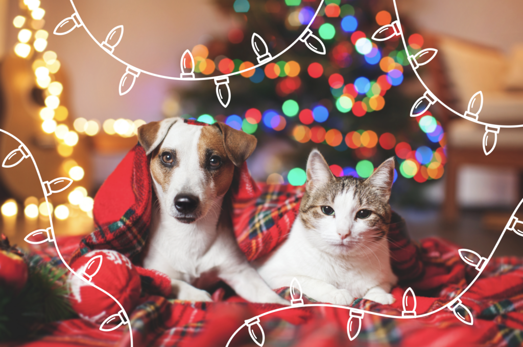 gifts for cats and dogs mother nature