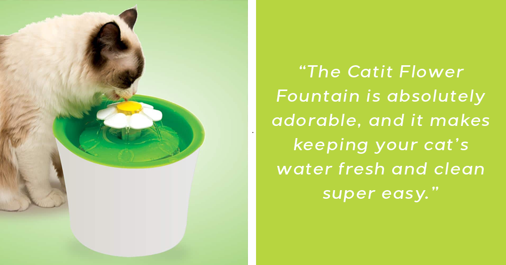 gifts for cats and dogs mother nature