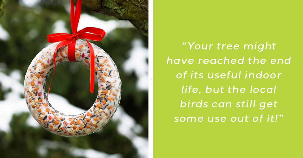 christmas tree recycling mother nature