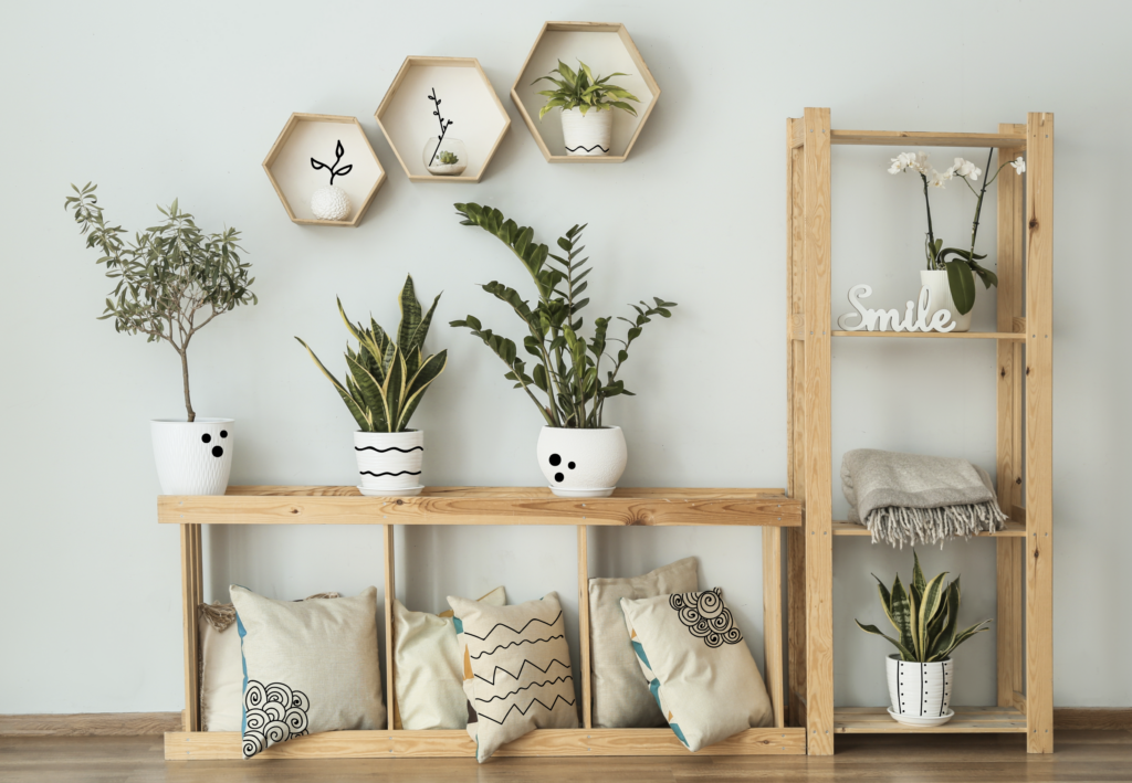 houseplant styling ideas mother nature
