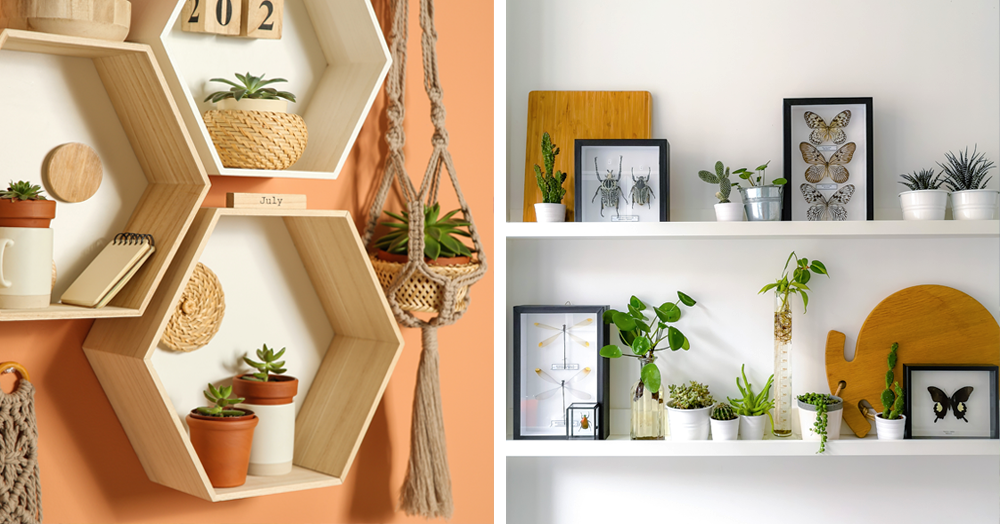 houseplant styling ideas mother nature