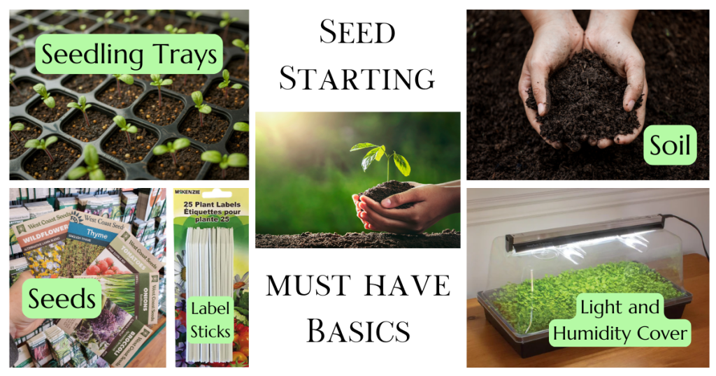 growing seeds indoors basic must haves