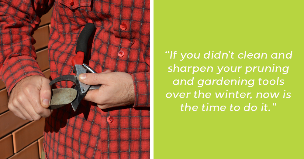 late winter fruit tree care mother nature