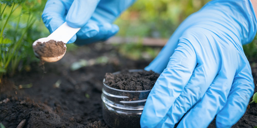 soil test interpretation guide mother nature