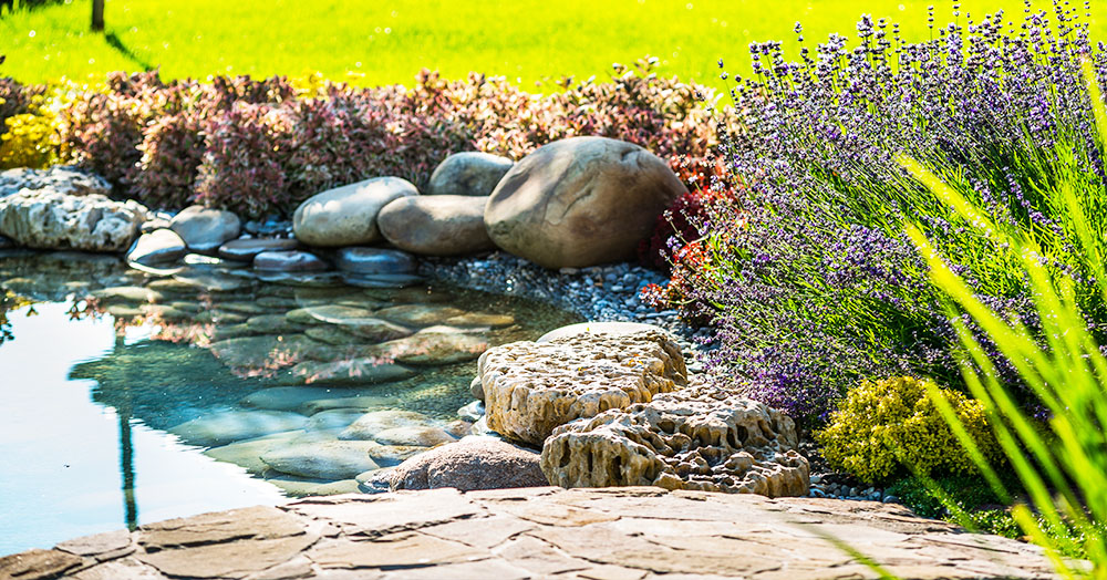 mother's day gift ideas mother nature