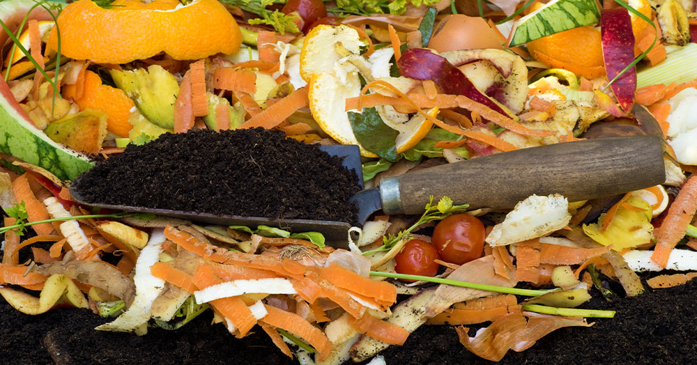Composting 101 What Goes In What Stays Out Mother Nature