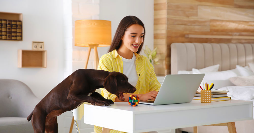 how to work from home with pets Mother Nature Powell river