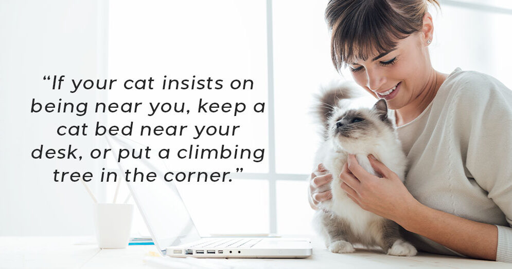 how to work from home with pets Mother Nature Powell river