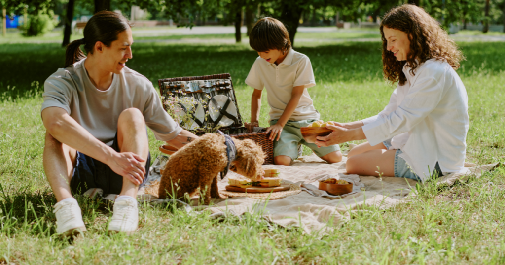 people and pets having a picnic