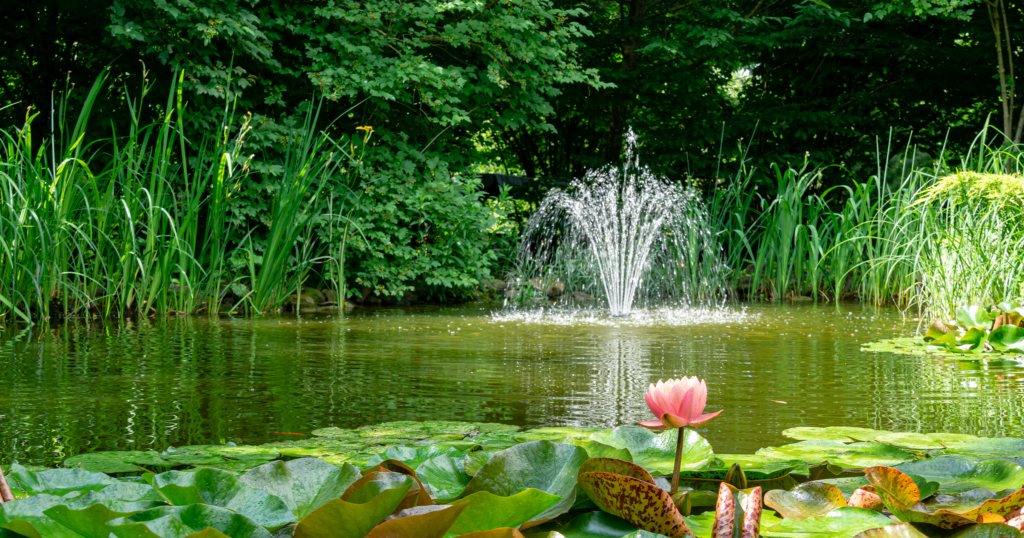 Mother nature garden center - picking the perfect pond pump-pond with water feature