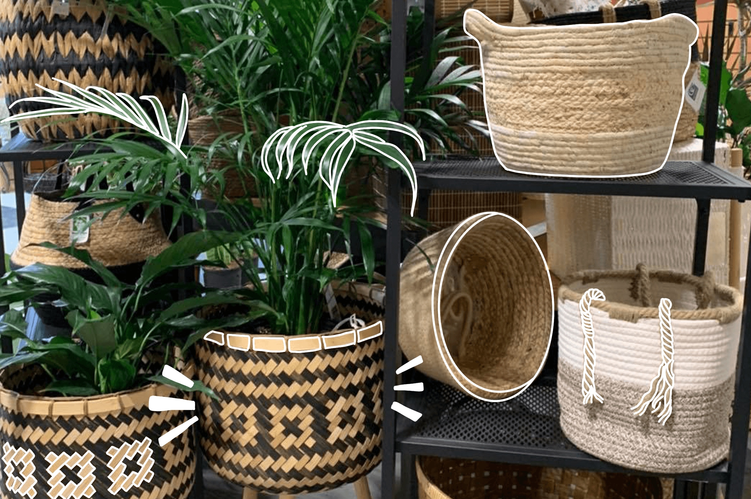 Mother Nature Garden Centre-Choosing the Best Container for Your Houseplants- plant pots for new houseplants