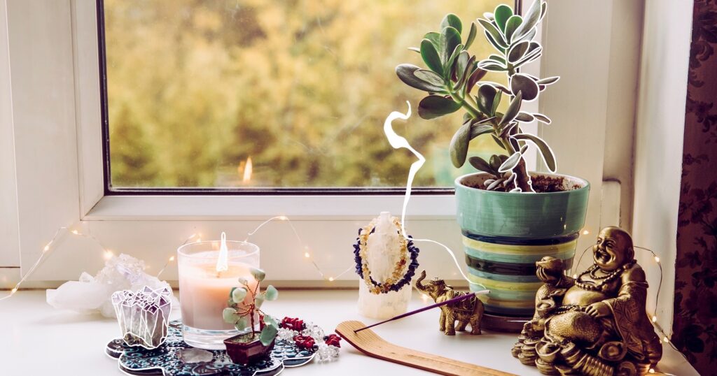 Mother-Nature-Garden-Centre-The-Best-Houseplants-for-All-12-Zodiac-Signs