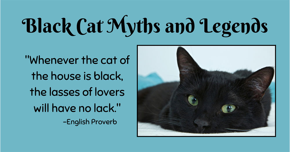 Mother Nature Garden Centre-Powell River-Black Cats Myths and Legends-black cat myths and legends