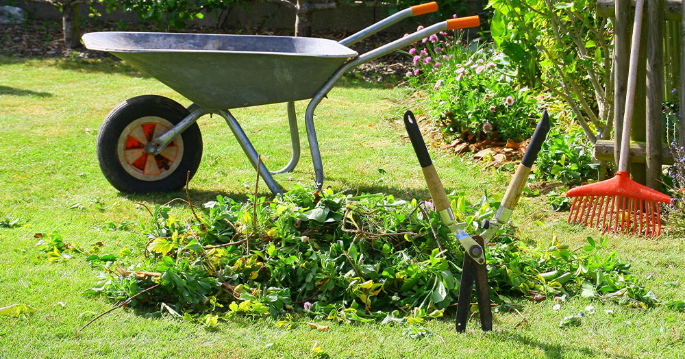 Mother Nature Garden Centre-Powell River-To Prune or Not to Prune-garden pruning material