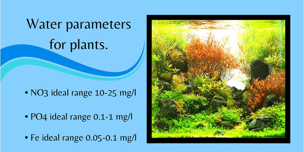 Mother Nature Garden Centre-Powell River-The Underwater Garden-water parameters for plants