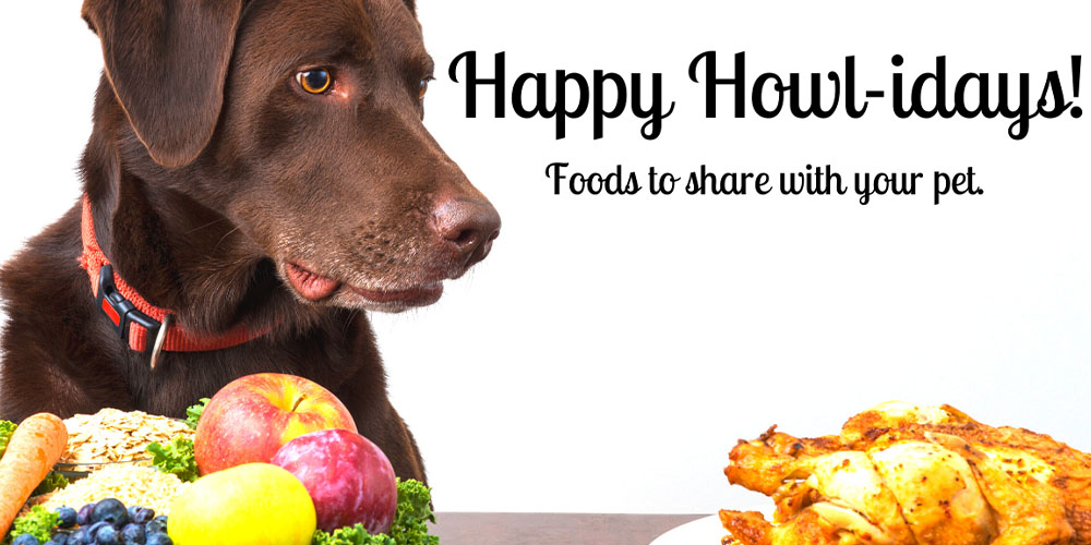Mother Nature Garden Centre-Powell River-Holiday Foods to Share with your Pet-happy howl-idays