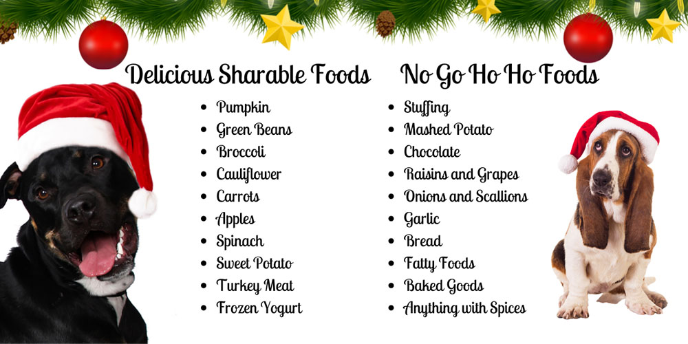 Mother Nature Garden Centre-Powell River-Holiday Foods to Share with your Pet-safe and unsafe food for pets