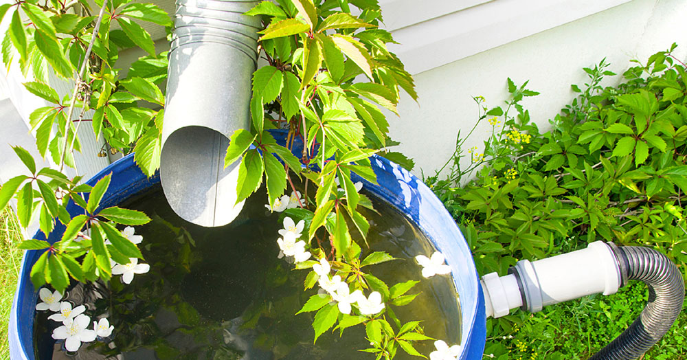 Mother Nature Garden Centre-Powell River-A Guide to Eco-Friendly Spring Clean-Ups-rain barrel