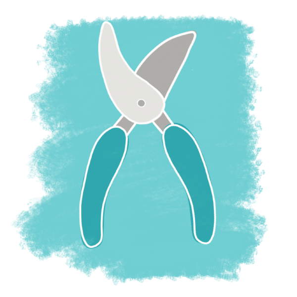 Types of Pruners and Saws, and How to Use Them — Mother Nature Powell