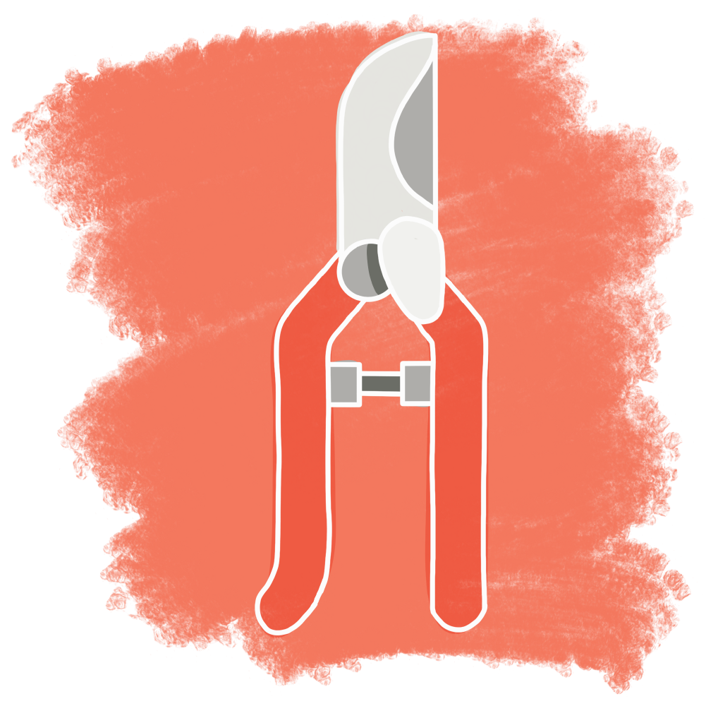 Types of Pruners and Saws, and How to Use Them — Mother Nature Powell