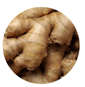 Mother Nature Garden Centre-Powell River-How to Plant Your Own Herbal Tea-ginger