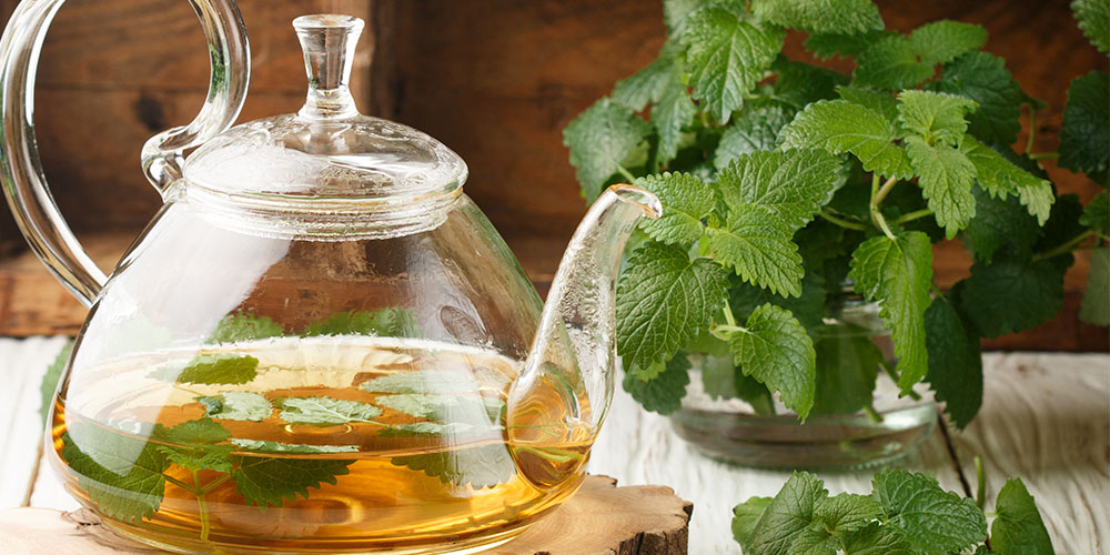 Mother Nature Garden Centre-Powell River-How to Plant Your Own Herbal Tea-lemon balm and mint tea