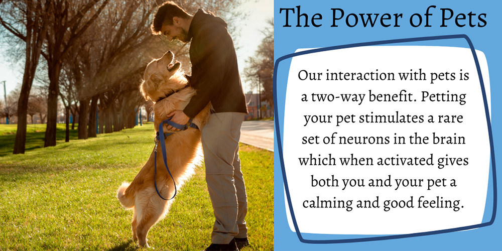Mother Nature Garden Centre-Powell River-The Power of Pets-dog quote