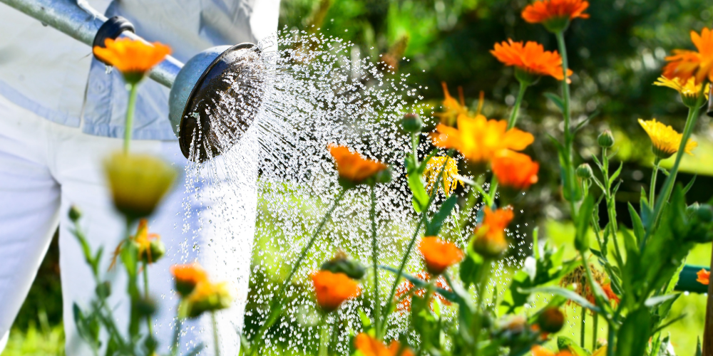 Mother Nature Garden Centre-Powell River-British Columbia-Summer Gardening Checklist-watering flowers