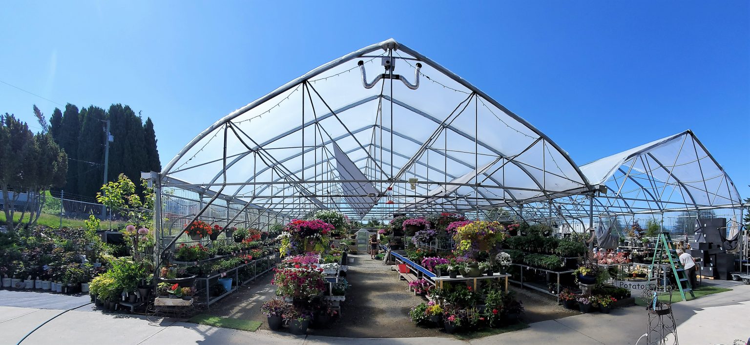 Mother Nature photo 6