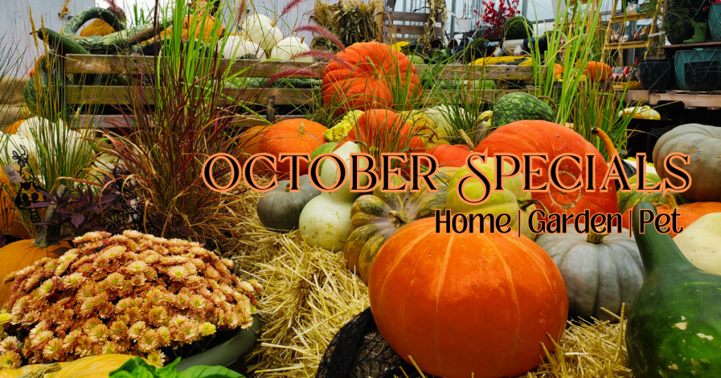 Featured Specials and Sales of the Month for Mother Nature